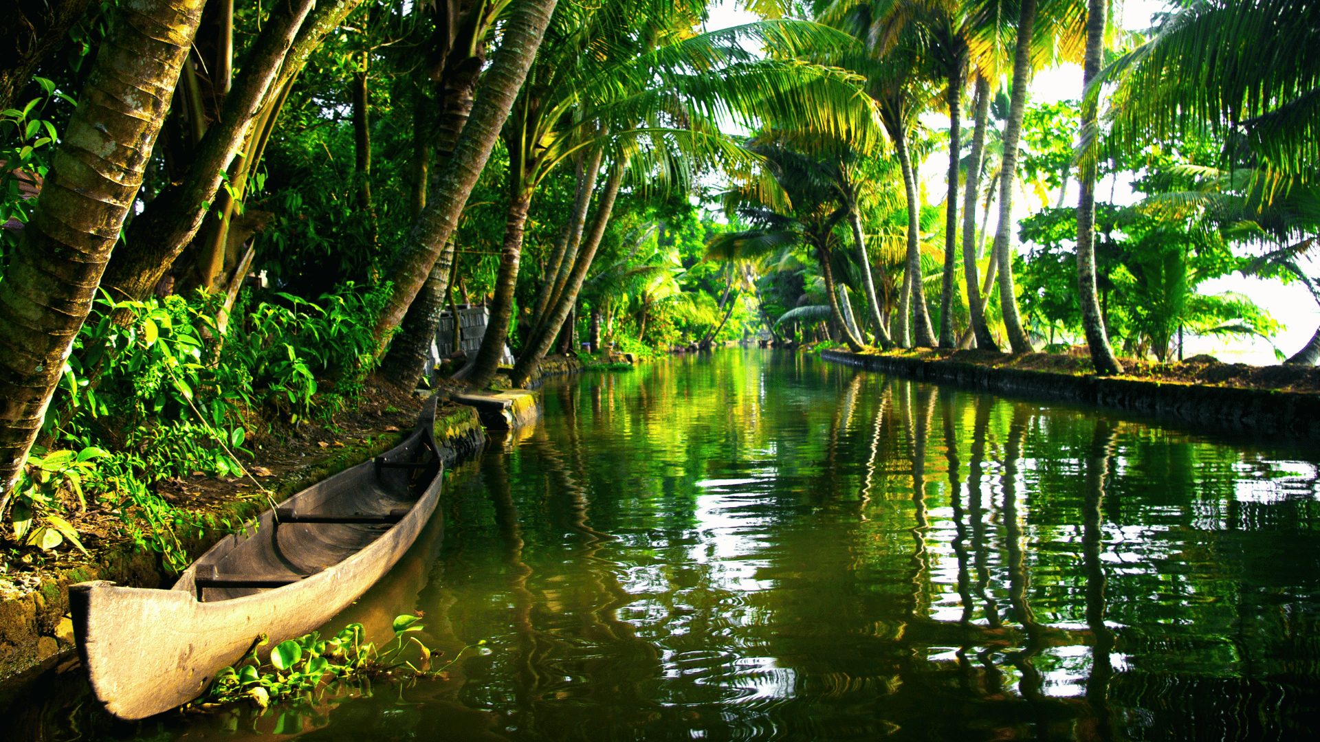 Kerala traditional river boat