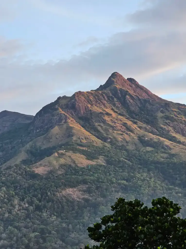 anamudi kerala