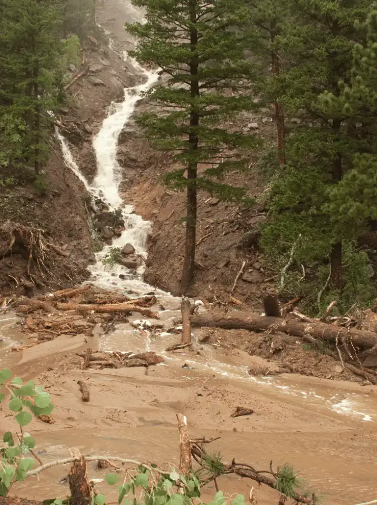 kerala landslide