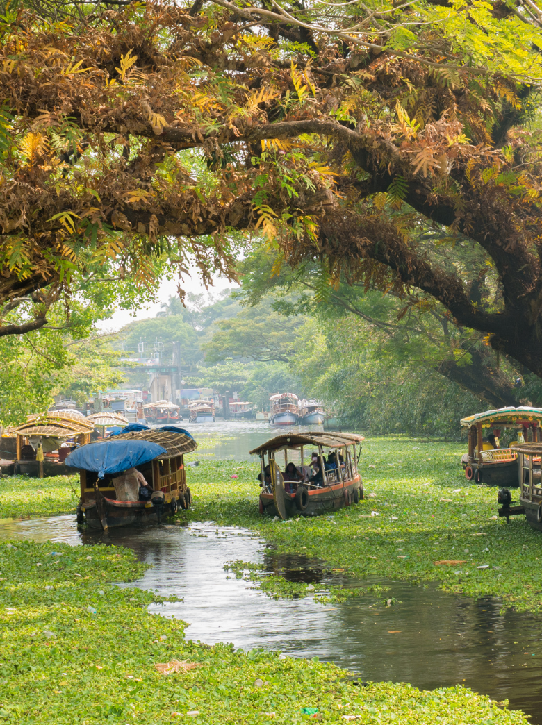 kerala streams
