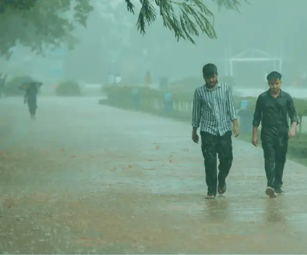kerala monsoon